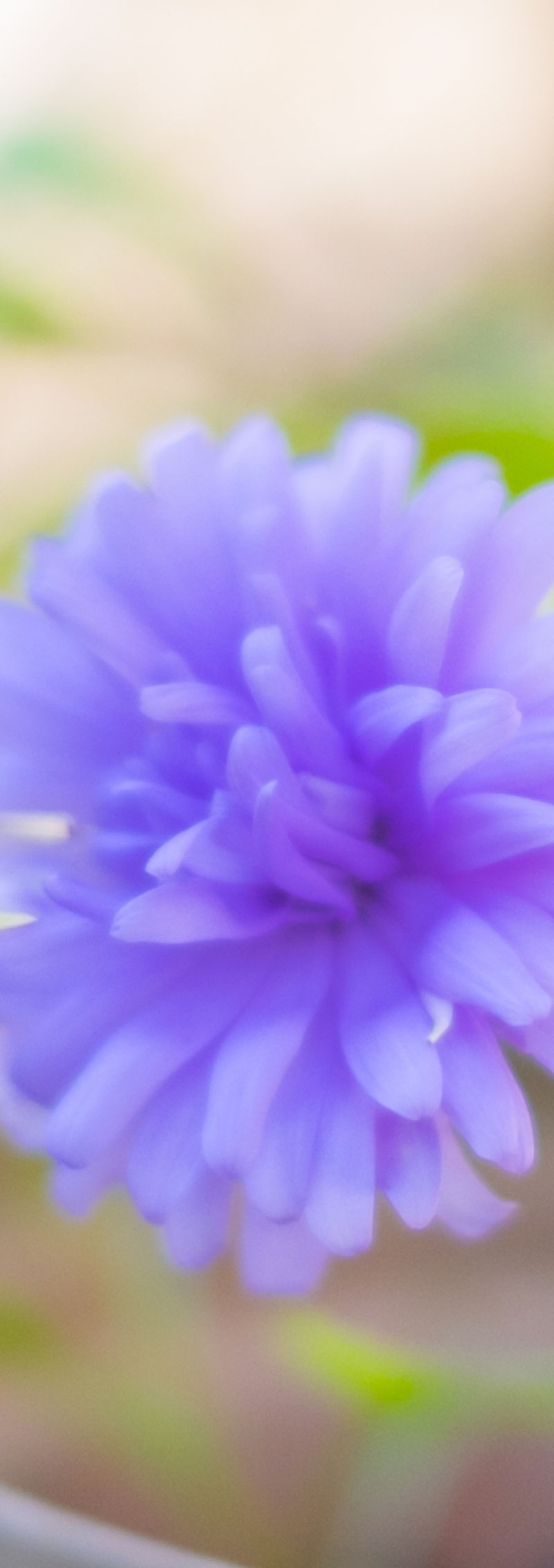 クルベルキャン 鎌倉レストランBAR写真